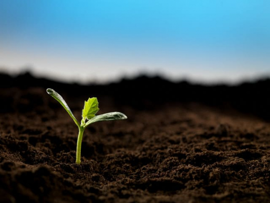 Review sách hạt giống tâm hồn: Ý nghĩa tuyệt vời cho cuộc sống 8