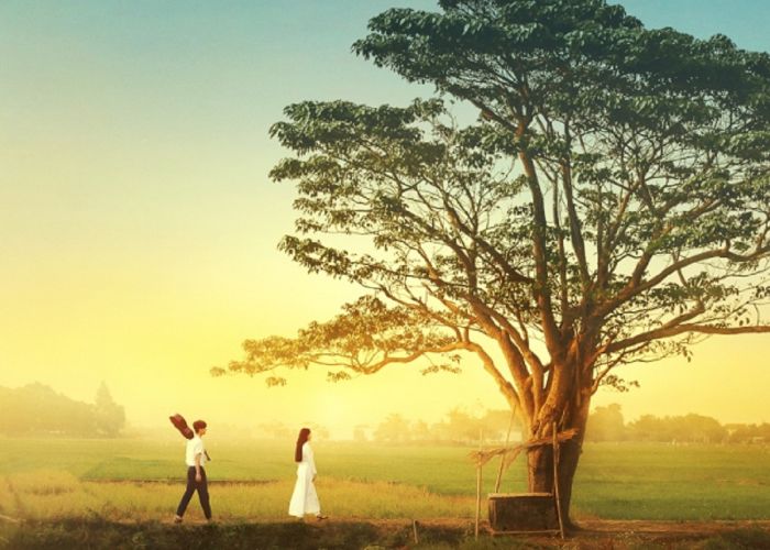 sach-nguyen-nhat-anh